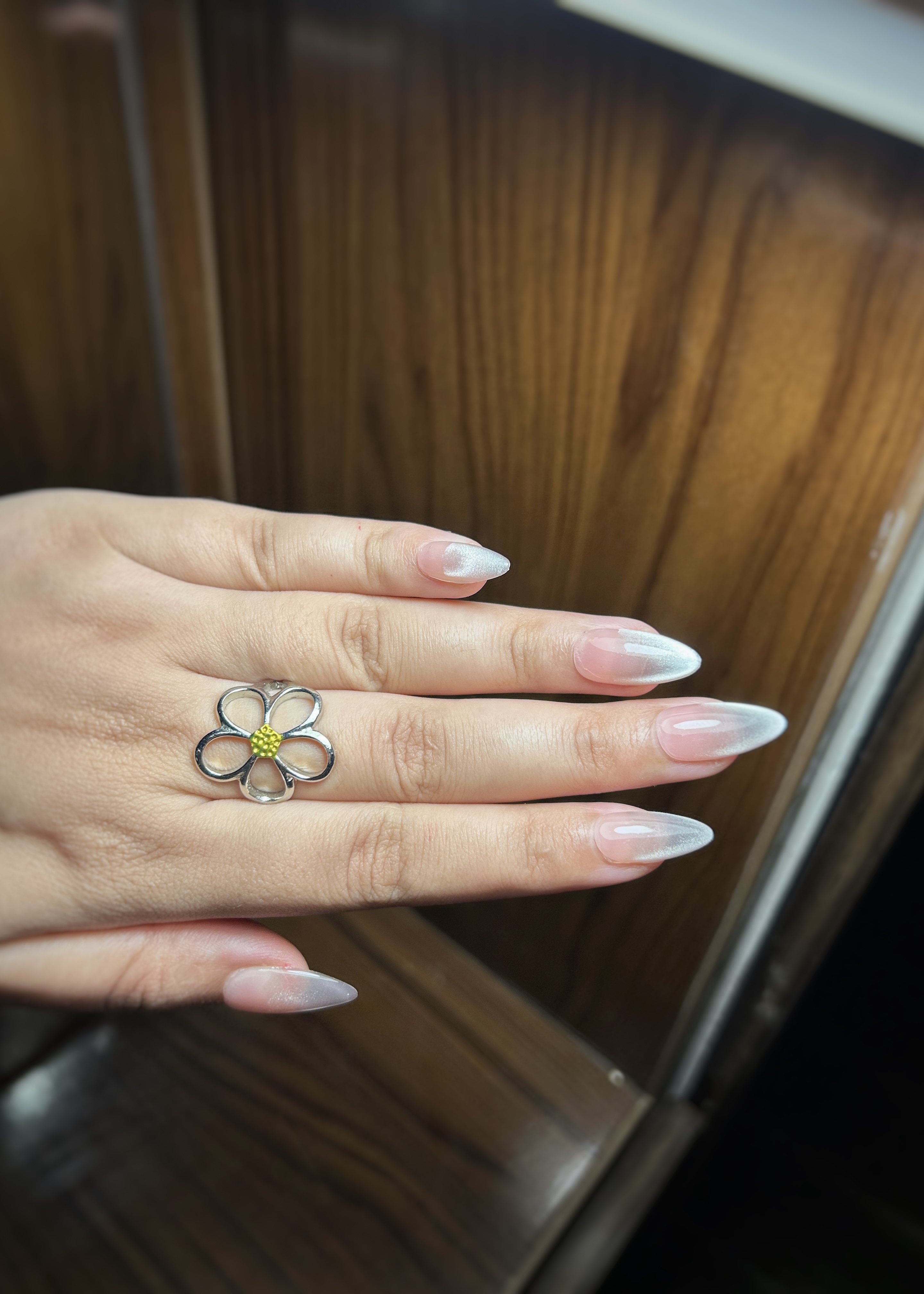 Silver cat eye ombre — Everyday tier custom-fit press-on nails