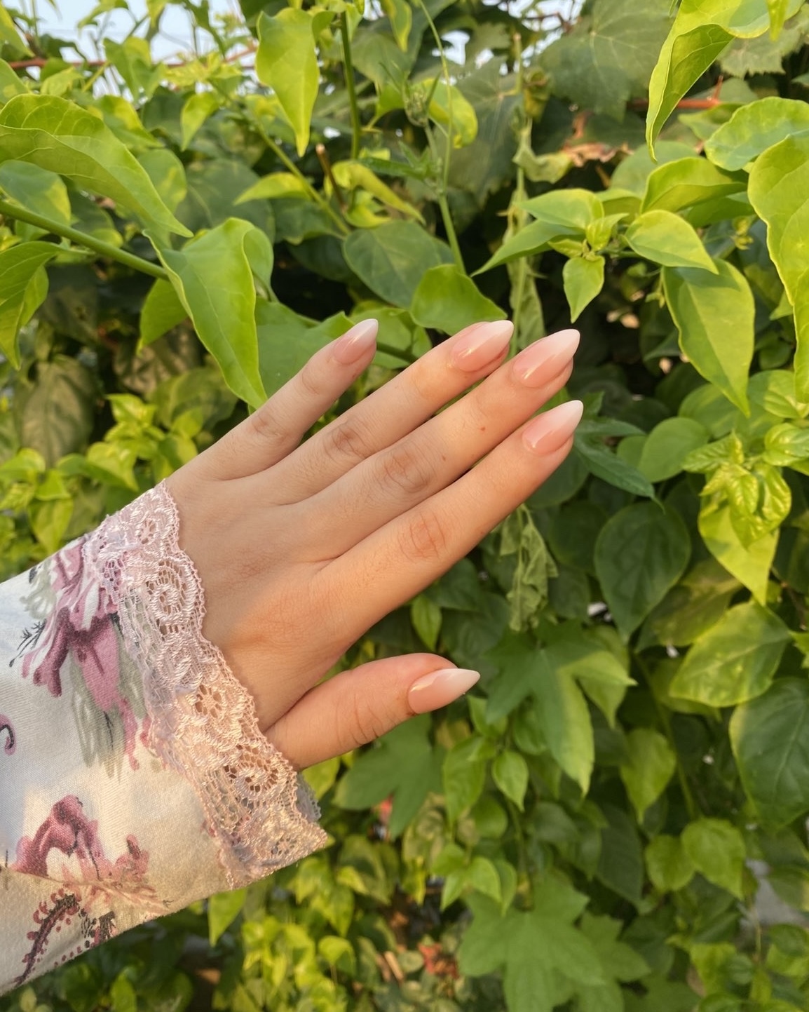 Nude Ombre